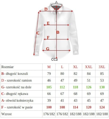 Tabelka slim fit.jpg